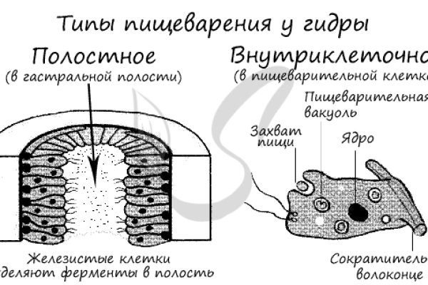 Пользователь не найден кракен даркнет